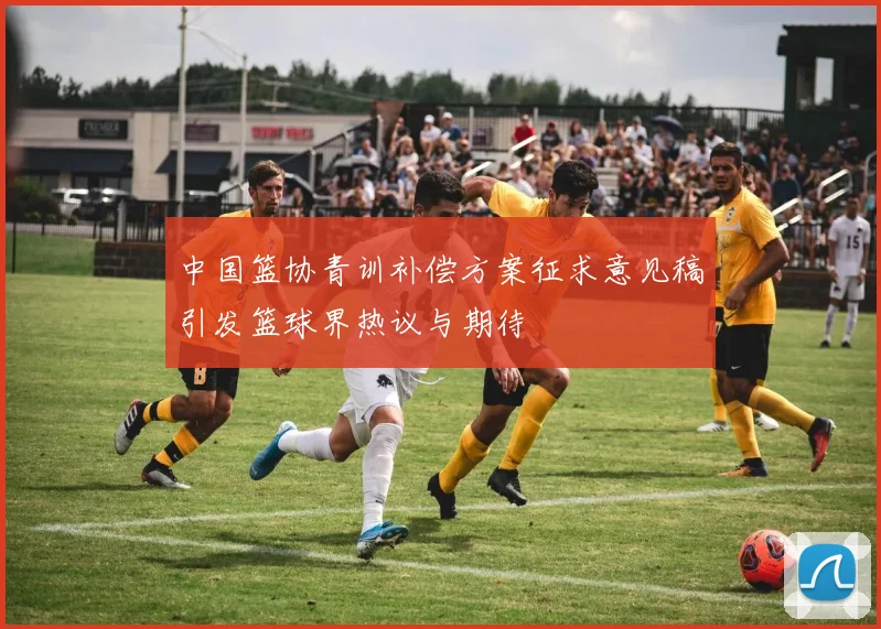 中国篮协青训补偿方案征求意见稿引发篮球界热议与期待